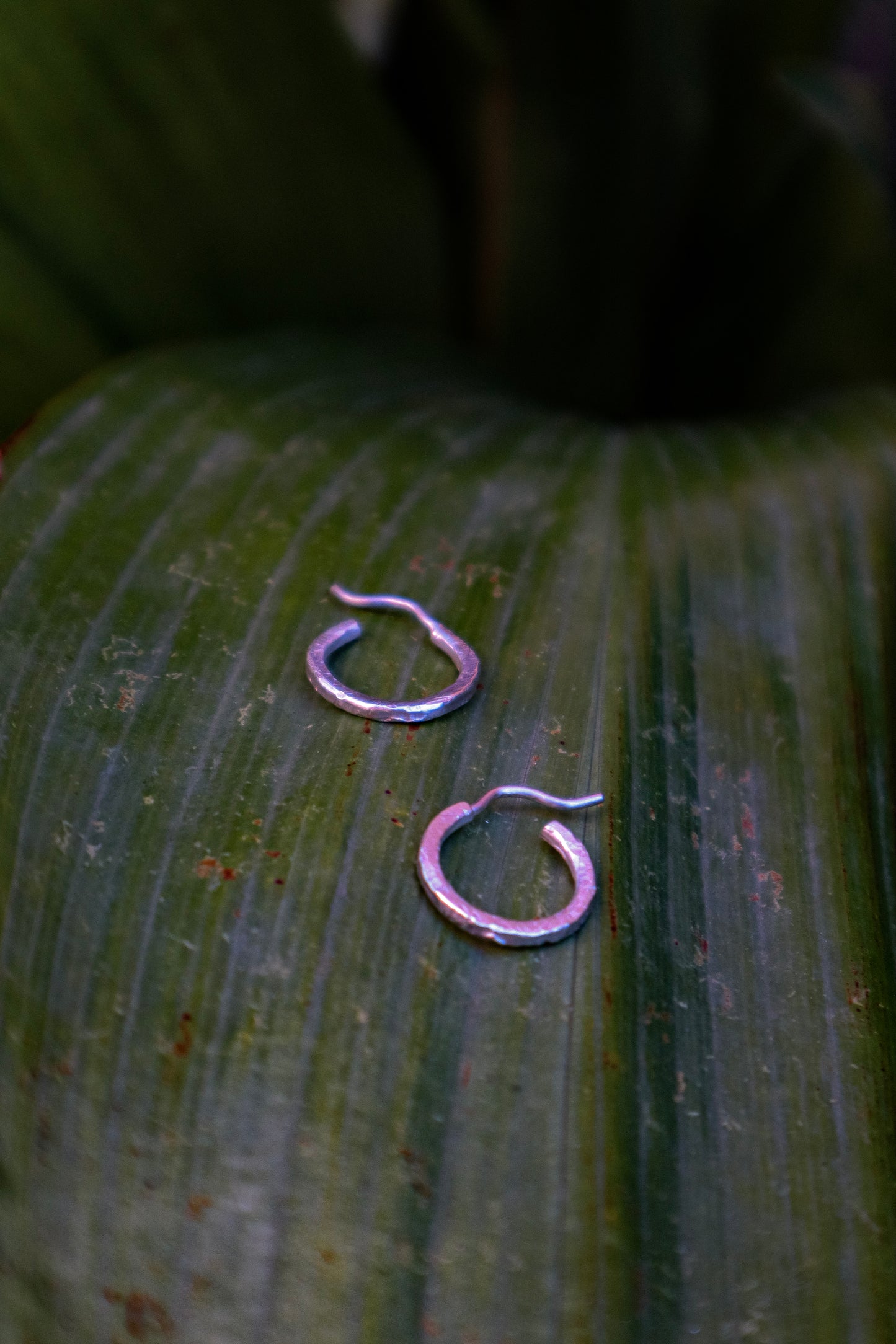 Pendientes Aris de Plata 925