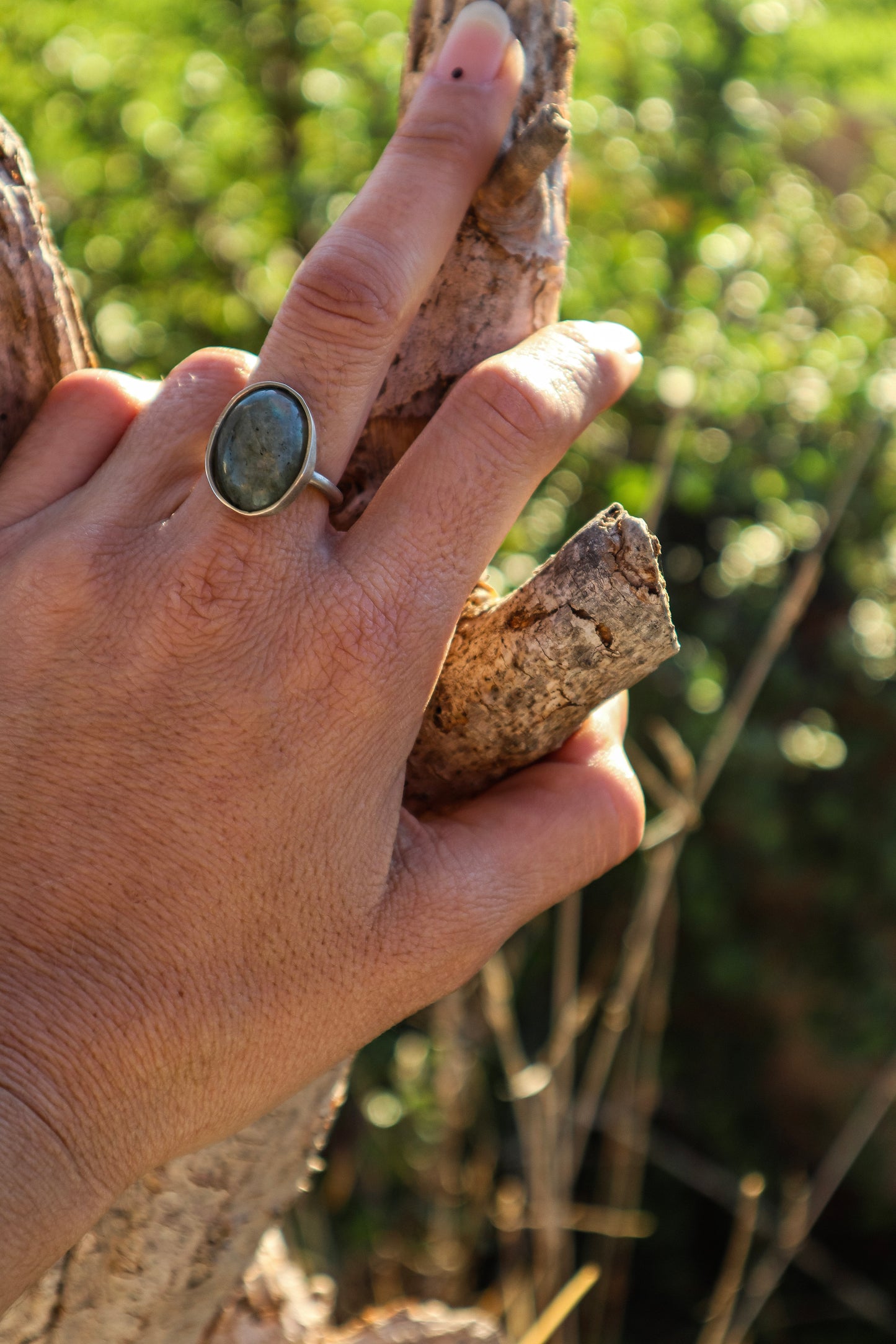 Anillo Labradorita Eunoia Plata 925