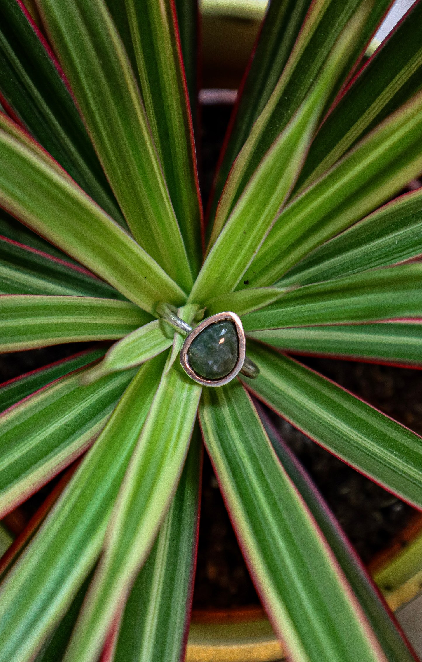 Anillo Ruana de Plata 925