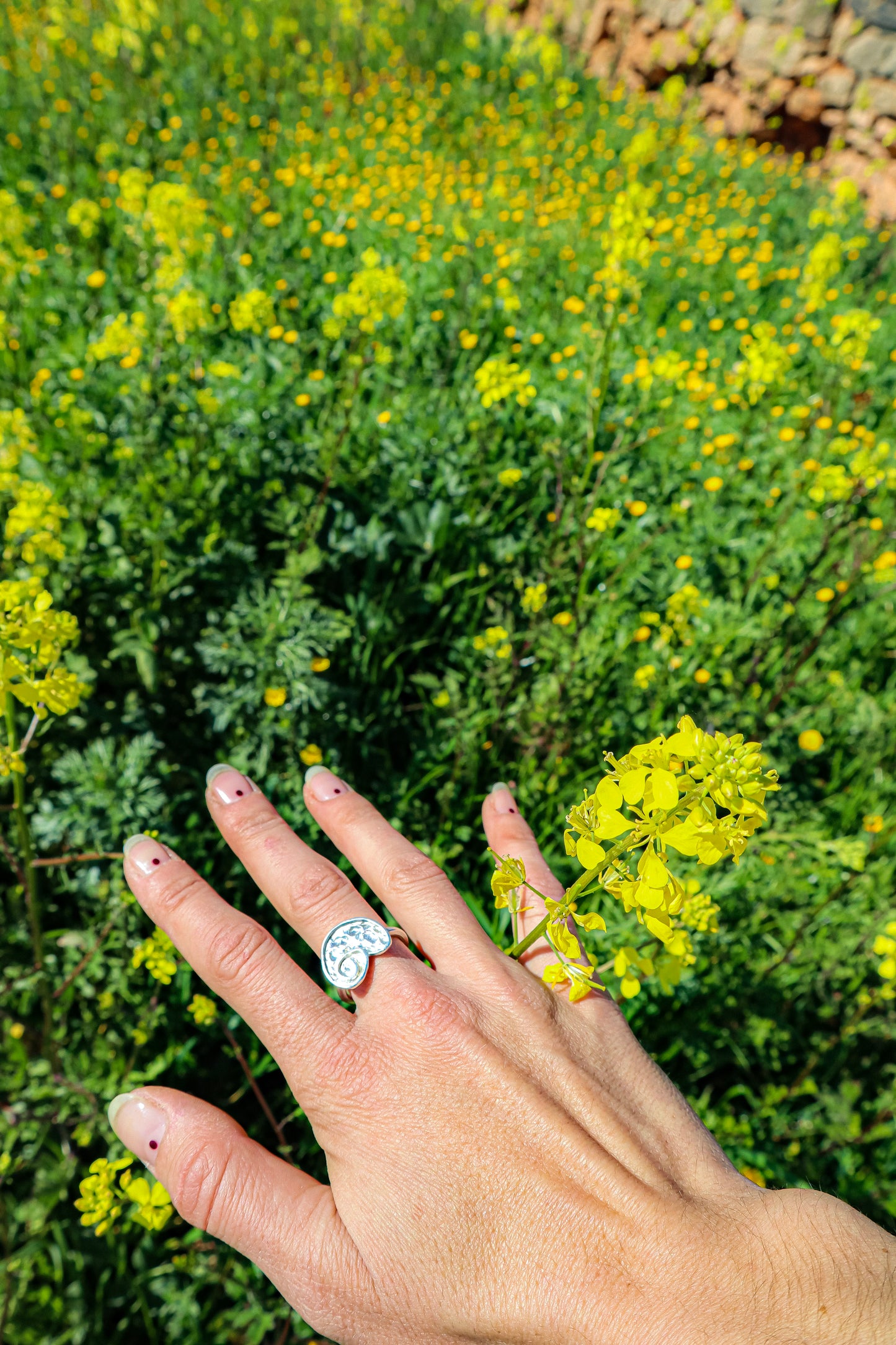 Anillo Shankh Takka de Plata 925